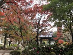 鎌倉、もみじ散策