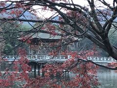 2020年11月　Go To NARA ３　朝の奈良公園散策