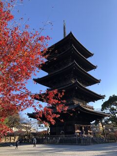 Go To 京都 16 渉成園 東本願寺 西本願寺 東寺 ミスターギョーザ