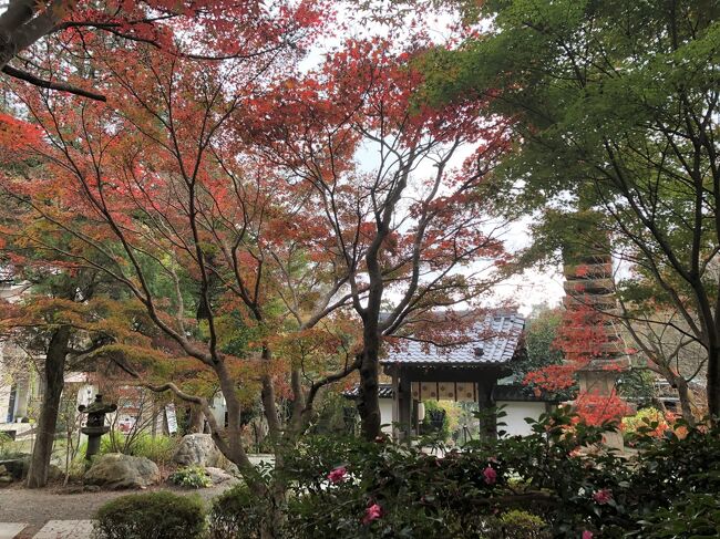 12月初旬、そろそろ「見頃のはず」のもみじを見に鎌倉へ。<br />まだまだこれからといった感じでしたが、メジャーなポイントを、2時間ほどで回ってきました。<br /><br />北鎌倉駅 → 円覚寺 → 建長寺 → 鶴岡八幡宮 → 鎌倉宮 → 覚園寺 → 荏柄天神社 → 鎌倉駅<br />
