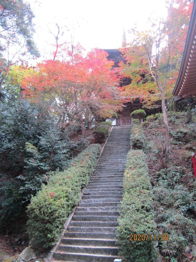 紅葉見物に西条市の西山興隆寺にいってきました。<br />初めての西山興隆寺、名勝もみじの寺です。<br />駐車場から本堂までの石段は苦労の道でした・・・<br />周囲は紅葉できれいでしたが・・・日頃の運動不足がたたりました。