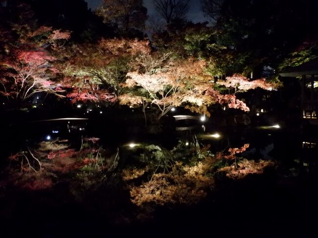 仕事を終えて都内西部の大田黒公園の紅葉ライトアップに行ってきました。