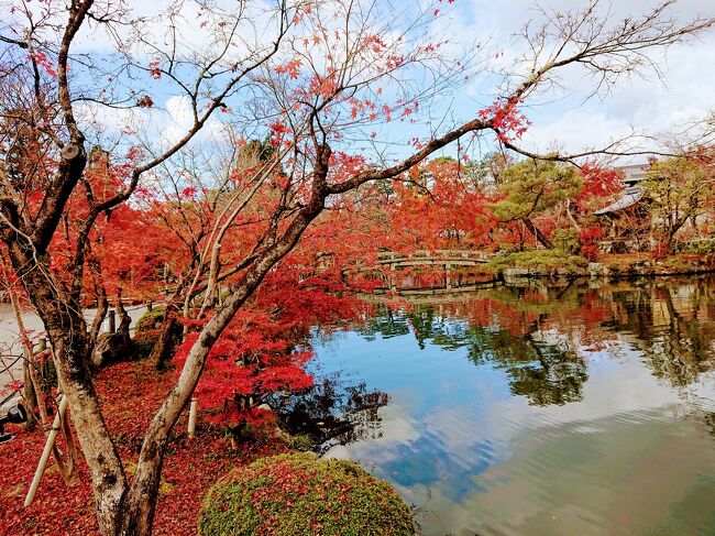 11月30日から12月1日まで 、久々に秋の京都に行って来ました。<br />初日は電動チャリを借りて、北野天満宮、龍安寺、上下賀茂神社、建仁寺夜間拝観といった紅葉の世界遺産を巡り 京都駅近くのダイワロイネットホテルに宿泊。<br />初日の模様はこちらはこちら<br />https://4travel.jp/travelogue/11664879<br /><br />今回は2日目の模様です。<br />2日目は、バスで銀閣寺まで行き、そこから哲学の道沿いに南下し、法然院、永観堂などを周り、さらに白川沿いを祇園まで歩きました。<br />祇園で少し買い物をし、最後は八坂神社にお参りし、帰ってきました。<br />紅葉は散り始めでしたが、まだまだ綺麗でした。