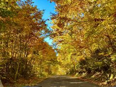 北東北紀行ー目標「紅葉の奥入瀬渓谷の散策」　１日目　花巻ー松川渓谷ー安比高原