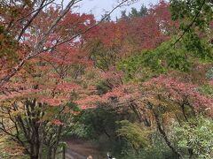 関東最後の紅葉ハイキング