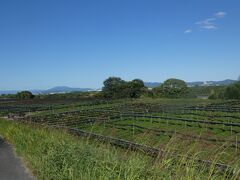 八幡 木津川CR 流れ橋上流(Kizugawa Cycling Road Yawata Upper Part, Kyoto, JP)