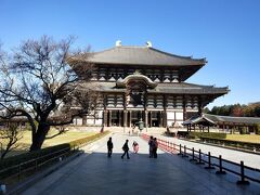 GoTot旅第4弾、汗ばむ陽気の京都で紅葉狩り　おまけで大塚国際美術館。その３奈良へ日帰り