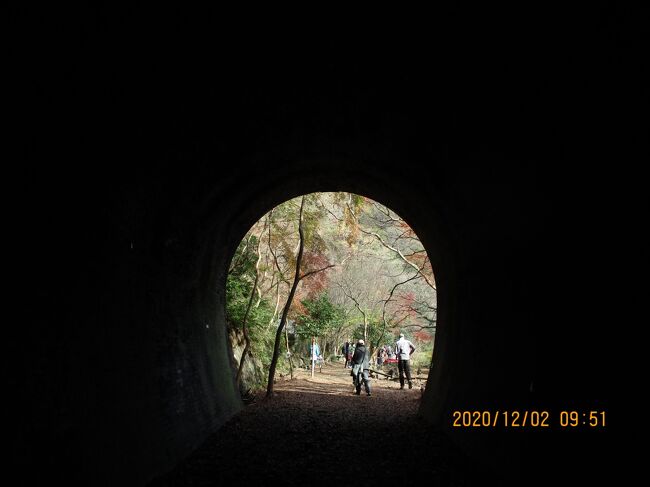 2水曜午前日帰りツアー愛岐トンネル４号から６号まで<br />写真は２０１２０２－０９５１．４号トンネルの向こう。大もみじ広場があるのですが、紅葉はまだ渋いようです。<br />４号トンネルを抜けたら歌声が聞こえます。廃レンガ敷きのステージでコンサートです。行きも戻りも聴かせてもらいました。聴かせてくれる歌声です。<br />朝の空気と昼間の紅葉の色具合は違うのでしょう。戻りでは違って見えます。<br />名阪近鉄旅行カッコーツアー<br />愛岐トンネル群ウオーク　秋の特別公開犬山・寂光院の紅葉まつり<br />３号から６号まで片道１.７ｋで２時間をカッコーツアーは３時間用意。<br />バスはコロナウイルス対策の新型車です。