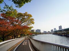 2020　大川の紅葉散歩（都島橋から蕪村公園にかけて）