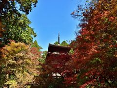 2020紅葉　ゆく秋を惜しみながら、秋色の金剛輪寺（13）