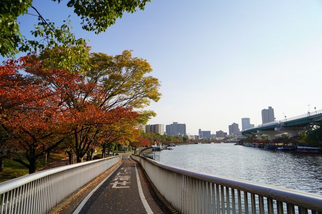 大阪市内を流れる大川（旧淀川）一帯の紅葉が見頃を迎えたので、この日は都島橋から、上流側の淀川と大川の分流部にある淀川河川公園辺りまでぶらり散歩してきました。<br /><br />この稿では、都島橋から蕪村公園にかけての旅行記を綴ります。