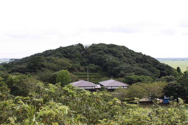 東庄県民の森を散策＆昆虫ウォッチングをしました。<br /><br />表紙写真は、東庄県民の森の風景です。<br />