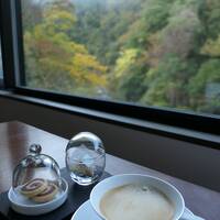 秋の伊豆旅♪　Vol.42　☆湯ヶ島温泉「アルカナイズ」：朝霧のかかる渓流とコーヒー♪