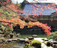 紅葉の天台宗湖東三山釈迦山百済寺