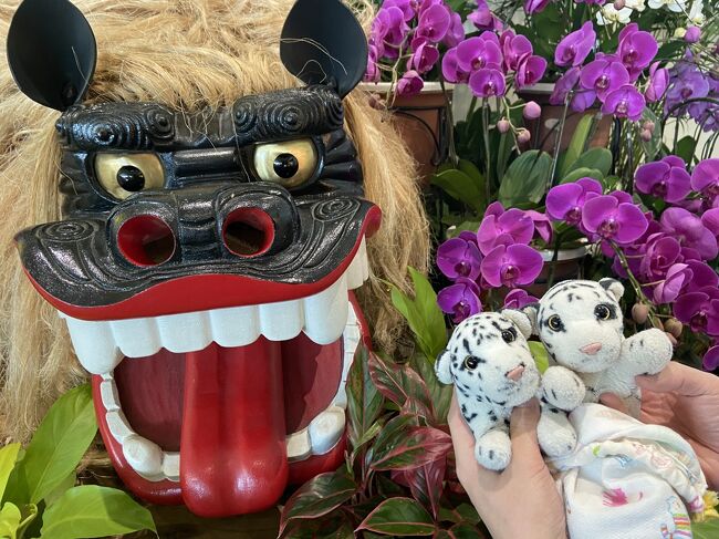 やー…こんなに海外に行けないことがつらいとは…<br />2020年に入って特段どこに行こうかとか予定していたわけではないのですが…<br /><br />そんなわけで噂のGo To トラベルで旅をしてまいりました。当方都民でございまして10月の解禁後にやれいつどこに行きましょうかという話をしました。時期は諸々の都合で11月末に確定。毎年伊勢参りに行っていてそれを早めるかという話もしたのですが、せっかくだし夫婦2人一緒に行ったことがないところがいいかなと。<br />となれば遠くへ行こう!と北海道と沖縄の二択となり、「北海道寒くない?」「せやな」の二言で沖縄行きに決定。北海道はまたの機会に…函館とか行きたいですね。<br /><br />さて沖縄旅ですが、私は2008・09・10・13年に来ており7年ぶり5回目。夫は初です。ひとしきり有名な観光地は周り切っている私と、そもそも観光には全く興味のない夫の組み合わせなのでその時ピンときたとこふらふらしましょっかというノープランで出かけました。軽~い感じの旅行になってます。<br /><br />【ざっくり日程】<br />●1日目 11/26(木)←イマココ!<br />・久しぶり過ぎる国内線<br />・沖縄夕暮れドライブ!絶景を見に行くはずが…<br />・アメリカンな街並みとステーキを堪能<br />・いやどうしてゲーセン行脚<br />・そして〆のルートビア<br />https://4travel.jp/travelogue/11665500<br /><br />●2日目 11/27(金)<br />・国際通り周辺をお散歩<br />・沖縄のスーパーでお買い物<br />・今日もしっかりゲーセン行脚<br />・うちなーファストフードでほっこり<br />・今日こそ!夕暮れスポットでサンセット堪能<br />・夜のドライブからの〆の…<br />https://4travel.jp/travelogue/11668527<br /><br />●3日目 11/28(土)<br />・地元のスーパーでまだまだお買い物!<br />・これが!噂の!ぜんざいを堪能<br />・帰る前も…すっかりトリコ<br />https://4travel.jp/travelogue/11668527