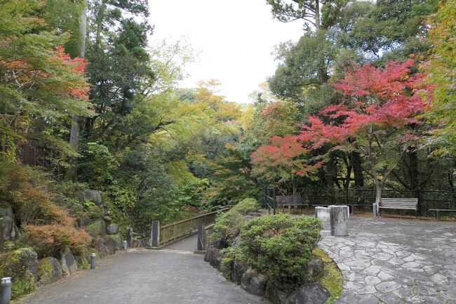 2020年11月8日-15日、伊豆半島に行きました♪<br />素敵な紅葉、素晴らしいパノラマ、美しい山岳や海、美味しいグルメを愛犬と一緒にたっぷりと楽しんできました♪<br /><br />☆Vol.47：第3日目（11月10日）湯ヶ島温泉♪<br />湯ヶ島温泉のオーベルジュ「アルカナイズ」。<br />ダイエットをすべくハイキングをしよう。<br />バトラーからの情報によると湯ヶ島温泉に最適なハイキングコースがあり、<br />その名も「湯道」。<br />早速、出発。。<br />オーベルジュ「アルカナイズ」から右へ南方へ歩く。<br />狩野川にかかる橋を渡る。<br />秋の狩野川は美しい。<br />出会い橋の女橋。<br />その橋の下へ川原へ。<br />対岸の旅館「水のみち 風のみち 湯ヶ島たつた」を眺めて。<br />そして女橋を渡る。<br />色付き始めた紅葉。<br />続いて本谷川にかかる男橋。<br />ゆったりと歩いて眺めて♪