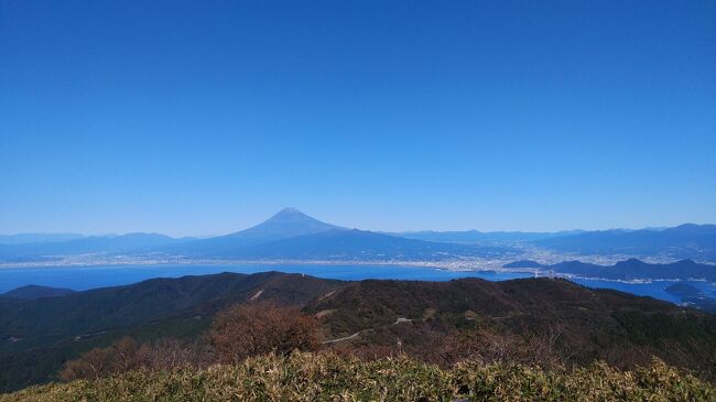 １０月下旬の快晴の日に伊豆方面に行って来ました。<br />だるま山高原レストハウスから金冠山、戸田峠、達磨山へ通じる伊豆山稜線歩道を歩きました。<br />富士山にはまだ雪はなかったけど、ずっと見れていたのが良かったです。<br />久々のトレッキングなので、ゆっくりのんびり、楽しみました。<br /><br />達磨山まで行ったら、ずっと伊豆山稜線歩道は続いてましたが、今日は無理をせず、そこで折り返し、<br />同じ道でだるま山高原レストハウスまで戻りました。