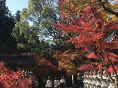 はじめての広島　ひとり旅　１泊２日　2日目　三原　紅葉の佛通寺・御調八幡宮