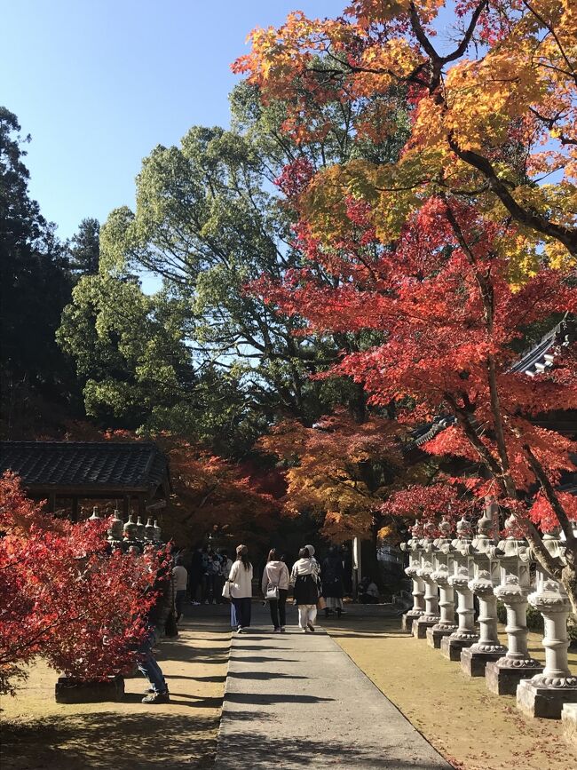 広島旅2日目です。<br />プランの段階で。1日目で、行きたかった宮島と広島平和記念資料館へ行くので、2日目はどうしょうか……。ネットで偶然　佛通寺の紅葉の写真を見て、ここに行こうと決めました。が、中国地方不案内なので、三原観光タクシーさんを利用することにしまして、電話予約（ネット予約はできなかった）。広島から三原へ行ってタクシーでまわって、また広島へ戻ってくるざっくりプランだったのです。しかし、三原から広島空港へバスで行けることが現地到着後わかりました。ちゃんと事前に調べなくてはいけませんね(#^^#)<br /><br />日程<br />１日目：羽田空港→広島空港　リムジンバスで広島駅へ。<br />　　　　JR広島駅→宮島口→宮島　厳島神社・豊国神社<br />　　　　宮島→宮島口→JR広島駅バスで紙屋町　リーガロイヤルホテル広島チェックイン<br />　　　　平和記念資料館　長田屋<br />２日目：新幹線で三原へ。三原観光タクシーにて佛通寺・御調八幡宮。<br />　　　　みっちゃんで昼食　三原散策<br />　　　　三原→広島空港　広島空港→羽田空港<br />ホテルは一休ドットコムよりGO　TO利用です。