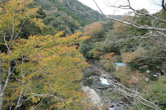 秋の伊豆旅♪　Vol.55　☆湯ヶ島温泉：美しい秋の湯道めぐり♪