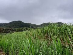 北東の季節風による時化が続き波照間島に渡船できず石垣島に滞在・・・