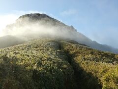 第4回山登り　屋久島・指宿（鹿児島県）2020年11月28日(3/8)