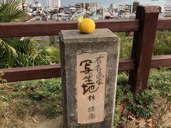 尾道　ネコの細道