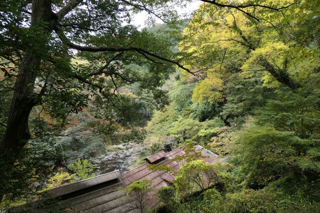 秋の伊豆旅♪　Vol.57　☆湯ヶ島温泉：美しい秋の湯道めぐり♪