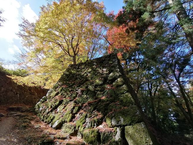 GoToトラベルを使用して、京都・奈良の紅葉を見に9泊10日で行ってきました。ついでに周辺にある日本100名城の高取城、千早城、二条城、篠山城、竹田城の5城をまわってきました。紅葉は出発日に降った雨や風でほぼ終わりになっていて紅葉のはずれ年な感じで残念でしたが、天気は良い日が多く楽しめました。<br /><br />★旅行記5のルート<br />遊山ゲストハウス→近鉄奈良駅→壺阪山駅→土佐街道→宗泉寺→高取城(猿石→二ノ門跡→大手門跡)<br /><br />1.京都駅周辺イルミネーション<br />2.奈良市内さんぽ(奈良公園~東大寺~奈良公園)<br />3.奈良グルメ(春日荷茶屋~天極堂の葛もち~おちゃのこのかき氷)<br />4.奈良 談山神社の紅葉&ライトアップ<br />5.奈良 高取城①(土佐街道~宗泉寺~猿石~二ノ門跡~大手門跡まで)←★今ここ<br />6.奈良 高取城②(二ノ丸~本丸~五百羅漢~壷阪寺)<br />7.大阪 千早城&金剛山麓まつまさのしいたけうどん<br />8.奈良 ほうせき箱のかき氷~よつばカフェ~麺闘庵<br />10.京都 京都駅大階段イルミネーション<br />11.京都 パンとエスプレッソと嵐山庭園~嵐山嵯峨野さんぽ~ステーキおおつか<br />12.京都 嵯峨野トロッコ列車のリッチ号に乗車<br />13.京都 永観堂紅葉ライトップ&和楽庵宿泊<br />14.京都 京都 南禅寺~永観堂~金戒光明寺~真如堂<br />15.京都 祇園グルメ(喫茶ソワレ~にしんそば松葉~壹銭洋食)<br />16.京都 知恩院 秋のライトアップ<br />17.京都 フルーツパーラーヤオイソ&二条城&京都御所<br />18.京都 出町ふたばの名代豆餅&下鴨神社&加茂みたらし茶屋<br />19.兵庫 篠山城&丹波篠山郷土料理懐のぼたん鍋<br />20.兵庫 姫路 カフェ・ド・ムッシュのアーモンドトースト<br />21.兵庫 雨の竹田城跡<br />22.兵庫 竹田さんぽ~姫路(まねきのえきそば)<br />23.京都 東寺~ミスター・ギョーザ<br />24.京都 宇治さんぽ①(中村藤吉本店~平等院鳳凰堂)<br />25.京都 宇治さんぽ②(宇治神社~興聖寺~宇治上神社)<br />26.京都 伏見稲荷大社①(楼門~本殿~千本鳥居~稲荷山山頂 一ノ峰まで)<br />27.京都 伏見稲荷大社② ライトアップの伏見稲荷大社~土井志ば漬本舗~東京へ