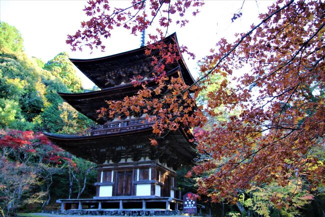 紅葉の天台宗湖東三山龍應山西明寺