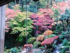 シニア夫婦温泉旅　三朝温泉に泊まる　蒜山～倉吉～三朝～津山②　依山楼岩崎でカニを食す