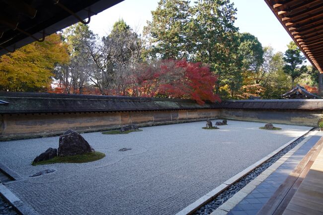 土曜日日曜日は、やっぱり大人しく過ごして、週明け月曜日。お出かけしましょうか。行き先は、前日に選定済み。とっくに終了と思っていた京都の紅葉ですが、思わぬところで見頃を迎えているとか。石庭の印象しか無かった龍安寺。この季節は、どんな風情なんやろね？