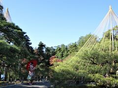 40年ぶり2度目の雪吊りの兼六園