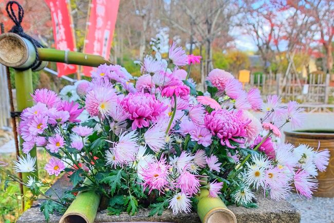 京都で1泊☆晩秋の嵐山をぶらぶら散策《後編》