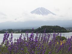 静岡～温泉と花とブルワリーの旅
