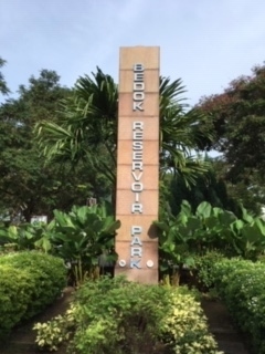 地下鉄(MRT)のブルー線30番駅Bedok Reservoir駅から、Bedok Resecoir Parkへ散歩。緑のトンネルと貯水池の水辺が涼しげな地元住民の憩いの場。週末は、カヌーをする人やアドベンチャー(木の上のロープを登ったり滑ったりする施設がある)に参加する子供がたくさんいます。平日は、ご近所さんがジョギングやサイクリングなどをするのんびりしたところです。貯水池は1周すると約4キロ。散歩にちょうどいい距離です。シンガポールは現在コロナ感染者はほぼゼロが続いています。感染者が多かったころは、この公園には、「ロボット」が見回りをして、マスクをしていない人やブループで固まって話してると注意されました。