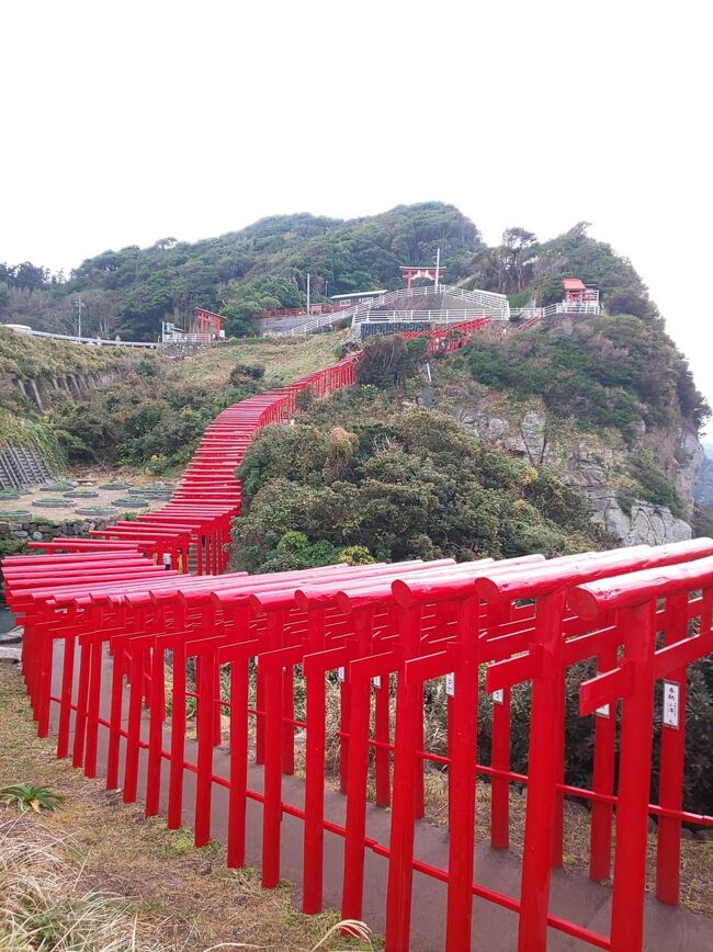 今回は珍しく、ダンナとふたりの夫婦旅行。(普段は娘とふたりが多い)<br />JALマイル(FOP)を年内にもう少し稼ぎたいダンナが「宇部くらいまで飛ぶとちょうどいい」と言うので「じゃあ私も着いて行くから下関でふぐ食べようよ♪」となりました。<br /><br />1日目はレンタカーで長門市の「元乃隅神社」や萩の「松下村塾」などに行き、2日目は電車で下関へ移動して昼食にふぐコースをいただきました。<br /><br />【概要】<br />・11/7 羽田発 8:00 → 山口宇部着 9:45 JAL291<br /><br />・11/7~8 「ANAクラウンプラザホテル宇部」に宿泊<br /> (IHG公式から予約・プラチナ会員特典によりお部屋のアプグレあり)<br /><br />・11/8 山口宇部発 19:15 → 羽田 20:40 JAL296<br />