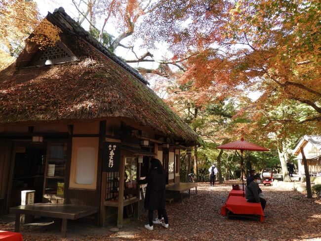 JTBの「旅物語」バスツアーで滋賀・京都・奈良の紅葉バスツアー<br />3日目は奈良公園周辺散策後、談山神社・室生寺で紅葉を眺めました。<br />こんなに奥深いところまで紅葉見物に訪れているとは（私たちもそうですが）驚きです。<br />