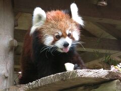 動物コスプレで入園無料デーの千葉市動物公園　2018/11/04