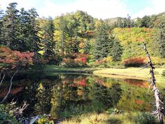 2020.09 紅葉を求めて久々の大雪山④…紅葉といえばやっぱり高原沼温泉