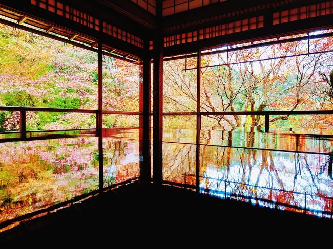 恒例！カニを食べに行こう城崎温泉。そして紅葉狩り京都観光。(2)京都梅小路公園と瑠璃光院