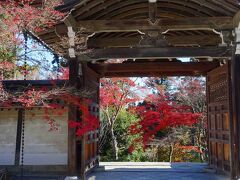 京都、少し遅めの紅葉巡り　２　【トロッコ、嵯峨、嵐山】