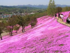 2019春　滝ノ上町・滝川市周辺　菜の花と芝桜＆エアーズロック？ 