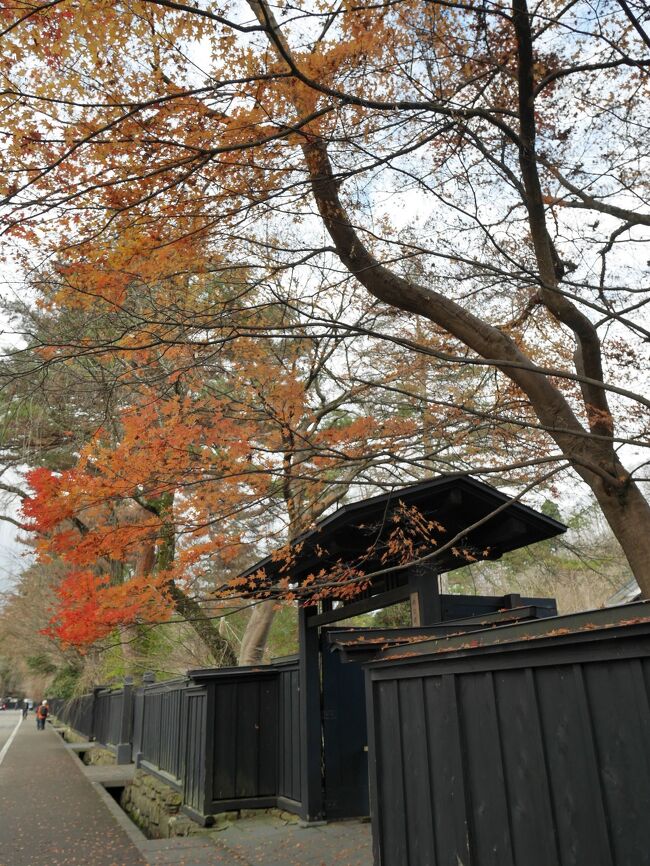 東北旅2日目の後半。花巻から東北自動車道盛岡IC→国道46号線で奥羽山脈を越えて秋田県角館へ。横手からもう一度岩手県に戻って湯川温泉で宿泊、という旅程。<br />路面にはまだ雪はなく雪景色の山を見ながら県境越えのドライブ。角館では街歩きときりたんぽ鍋、比内地鶏の親子丼、稲庭うどんのお昼ご飯。日暮れにたどり着いた渓流沿いの温泉宿で旅の疲れが吹き飛んだ。<br />