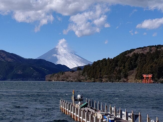 令和2年は大変な１年でした。<br />と言う訳で今年の厄災を流し、来年は良い年にと願いを込め、箱根にGOTOトラベル第7弾、姥子（うばこ）温泉に初めて宿泊し、富士を見ながらの温泉に興じます。<br /><br />到着日、ホテルのエントランスに続く歩道で、西日がまぶしく、ちょっとよそ見をしてすっ転びました！<br />またもや膝や手のひらを打ち、ほんまもんの湯治になってしまいました（笑）<br /><br />1日め<br /><br />新宿駅→箱根湯本駅→旧街道石畳…箱根神社一の鳥居…深生そば…箱根公園…箱根町港→桃源台→姥子…グリーンプラザ箱根<br /><br />本日は13498歩<br /><br />感染数も上昇傾向に歯止めが立たず、ついにGOTOトラベル停止。<br />来年は金毘羅さんにお参りと考えていましたが、政府のお墨付きがないので、自宅自粛です。<br />防衛費より日本製のワクチン開発に予算を投じてほしいぞ！