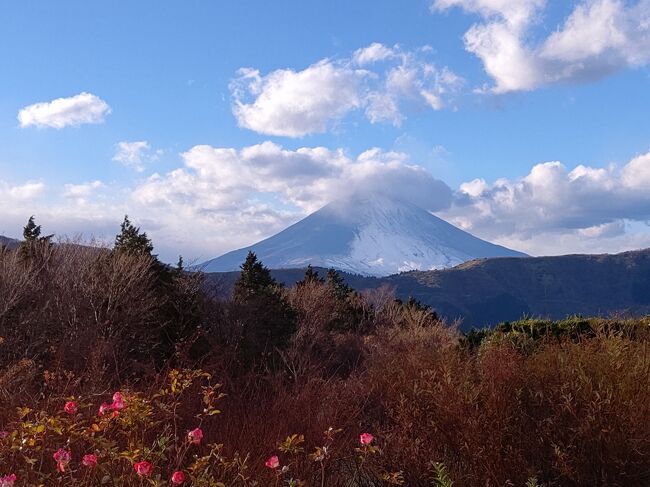 富士を見ながら箱根の湯②　ポーラ美術館