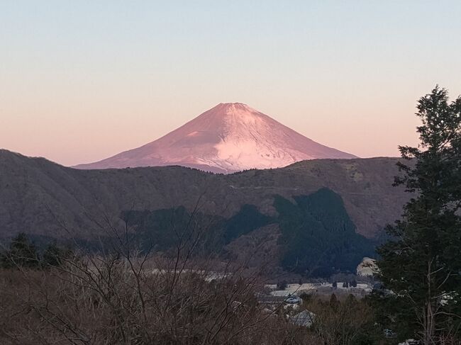 4日め<br /><br />ホテルグリーンプラザ箱根…姥子バス停→箱根湯本駅前・箱根湯本駅→入生田駅…生命の星・地球博物館…箱根湯本駅→新宿駅<br /><br />今日はロマンスカーまでの時間が短いので、TVで見た生命の星・地球博物館へGO、子どもさながらに知識が吸収されるといいのですが（笑）<br />タモリさんの番組で、岩石の種類とかマントルとか、ちょっとは予備知識はあるけど…<br /><br />露天風呂で最後の富士山…、なのに、私と富士山の直線状に入ってくるおばさん！さっきまで横にいたのに移動してきました、富士山見るならしょうがない…けど、横向いてるじゃん！<br />左に動くと温泉の吹き出し口で熱っついし、右に動くと富士山が見えなくなるし…はぁ。<br />温泉の温度に比例して、私の沸点も高め（笑）<br /><br />そうそう、朝の6時過ぎに人身事故（3日続けてとか）があり、午前中のロマンスカーはまだ不通、乗車する15時には運行しているのを期待し、箱根湯本駅まで戻ってきたら、運行してました！<br />もしもの場合は、急行で帰ればいいのですが、せっかくの物見遊山ですからね（笑）<br /><br />本日は11672歩でした。<br /><br />2021年が元気に旅行へ行けるよう、皆さんの健康をお祈りいたします！