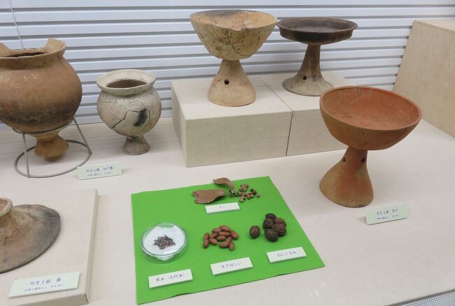 秋 見晴台考古資料館 3 6 11月3日 3 見晴台遺跡 考古資料館 縄文土器 復元された弥生式住居 天白 笠寺 愛知県 の旅行記 ブログ By 旅人のくまさんさん フォートラベル