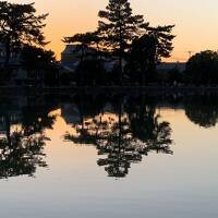 GoTo　奈良　②　奈良公園　初日