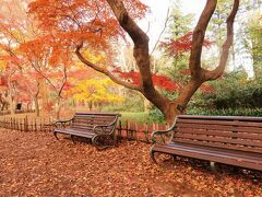 調布市・早詣の深大寺と紅葉の神代植物公園